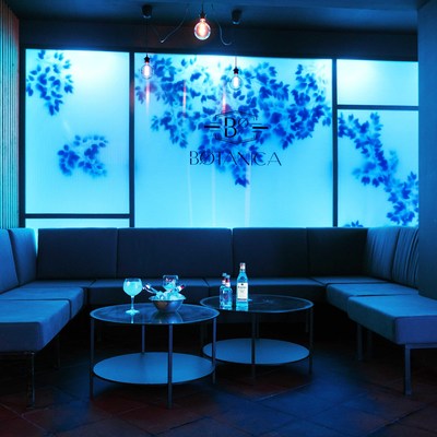 Bar de copas Botánica