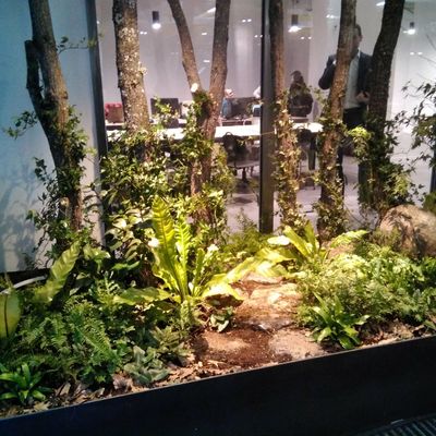 Quiero entrar a mis oficinas y acordarme de mi pueblo.