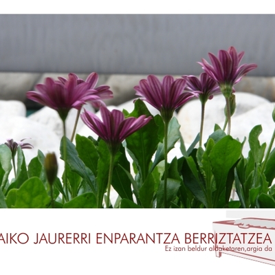 Bizkaiko Jaurerri Enparantza