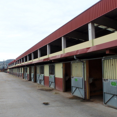 REHABILITACIÓN ASTURCON LLANERA