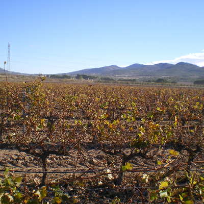 Documentación Técnica Para Incrementar La Dosis De Captación De Agua De Pozo