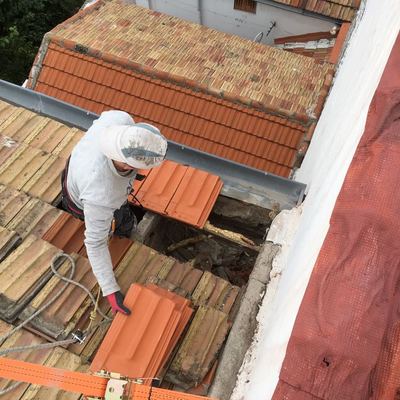 Reparación de tejado y reposición tejas
