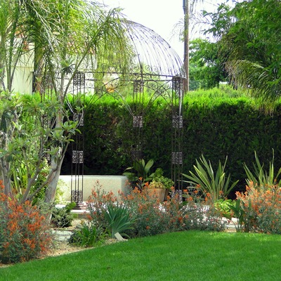 Jardín Exótico Y Urbano