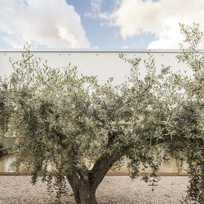 CENTRO DE DIA Y HOGAR DE ANCIANOS DE BLANCAFORT