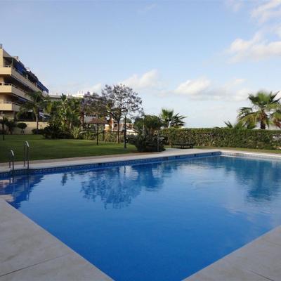 Construcción jardín y piscina