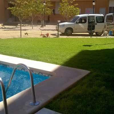 Resiembra de césped y grama