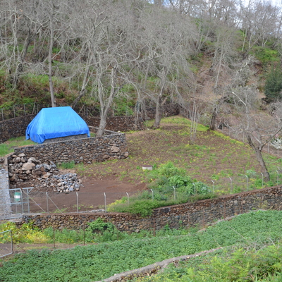 Informe agronómico, Santa Cruz de Tenerife