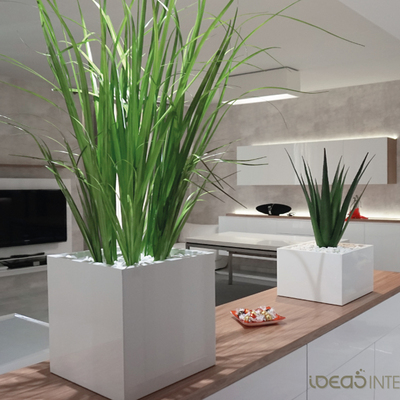 plantas en el salón