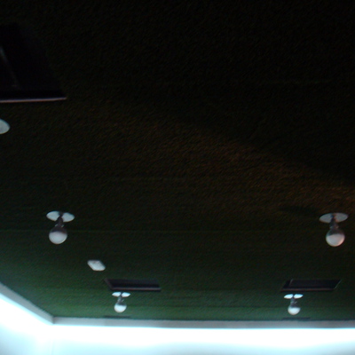 Decoración de Techo con césped