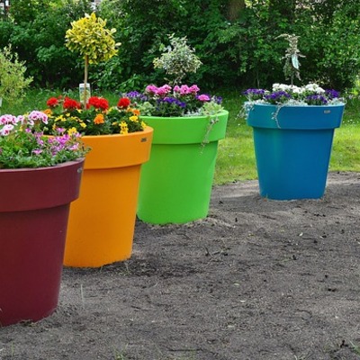 Decoración con plantas de interior y mantenimiento en Madrid