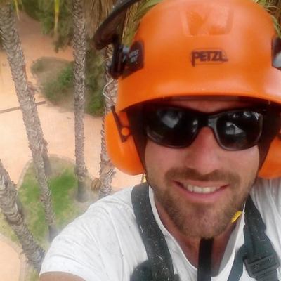 Poda de palmeras, Jerez de la Frontera