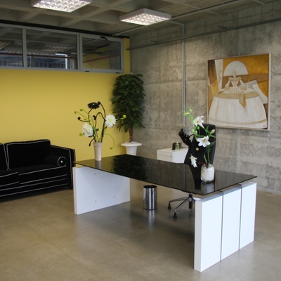 Despacho del director