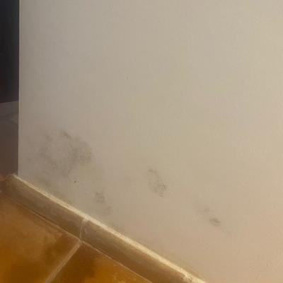 REPARACION DE HUMEDADES