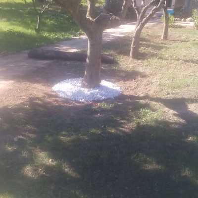 Rehabilitación de jardines
