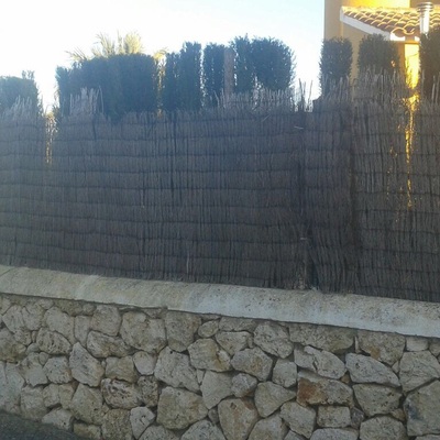 después de colocar la caña 