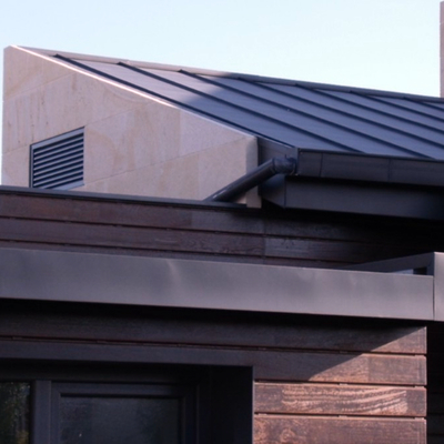 Detalle de la fachada y la cubierta.