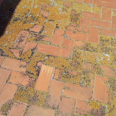 Detalle de pavimento de terraza ANTES