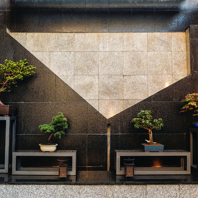 Detalle: Fuente mural Bonsáis en acero y piedra