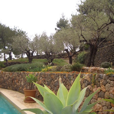 Un jardín resistente a las sequías