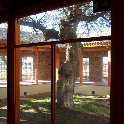 Detalle ventanal de vidrio entre pilares madera