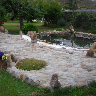 Diseño de estanque con cascada