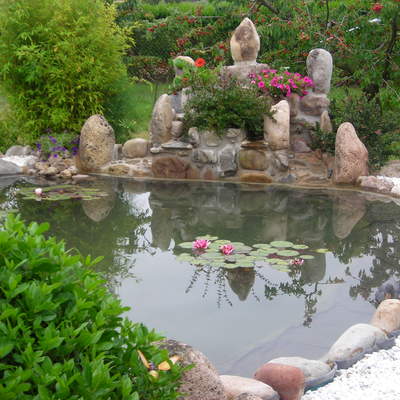 Diseño de estanque con cascada