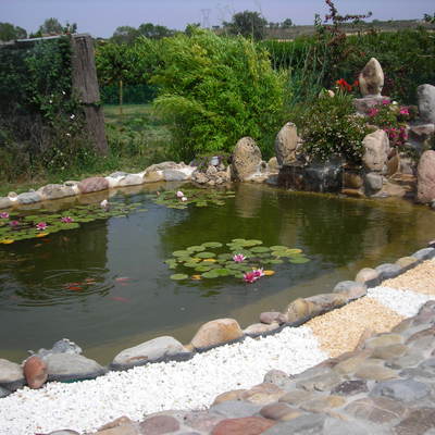 Diseño de estanque con cascada