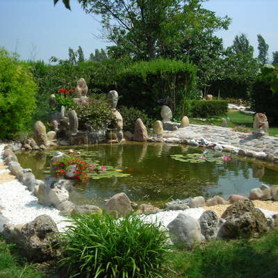 Diseño de estanque con cascada