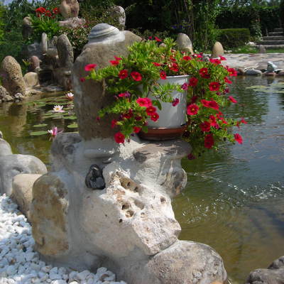 Diseño de estanque con cascada