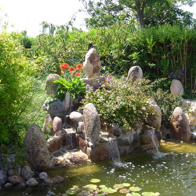 Diseño de estanque con cascada