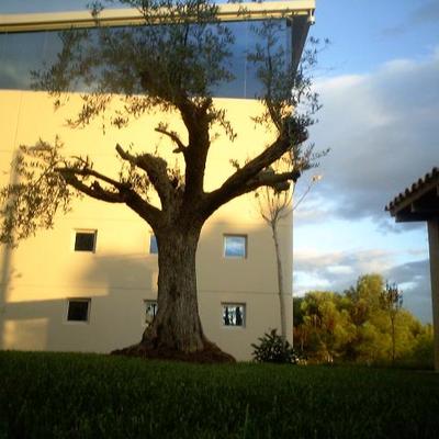 Edificio Albert Einstein Parque Tecnológico De Valencia