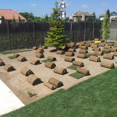 Distribución de tepes