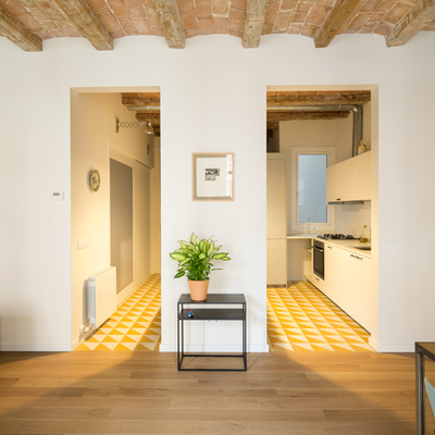 distribución general