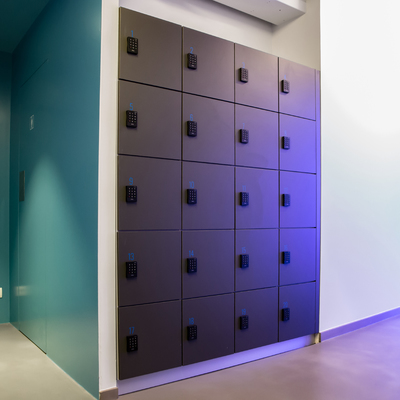 Distribuidor Reburn Studio