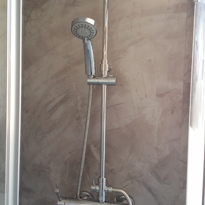 Ducha de baño y panel decorativo 