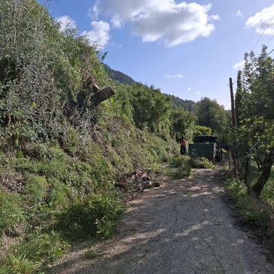 Limpieza de camino publico en Pollença