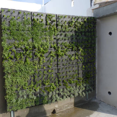 Jardín vertical