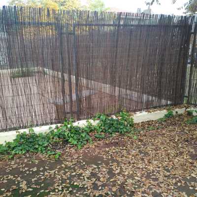 Retirada de enredadera antigua, prepración del terreno para plantación y colocación de canto marfil decorativo