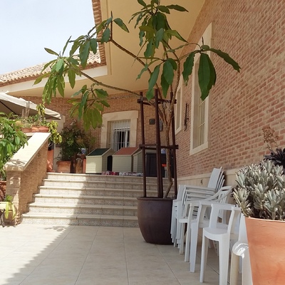 Zona ajardinada y piscina en viv. unif. en Los Girasoles