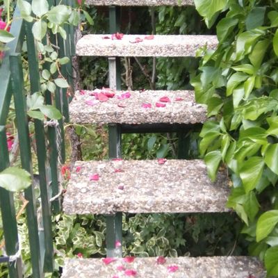 Reforma en exterior, Huesca