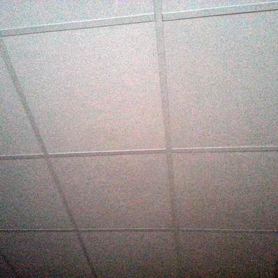 Techo Constitucion 39