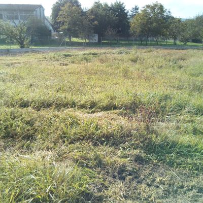 Diseño y realización de jardín en Vioño (Cantabria)