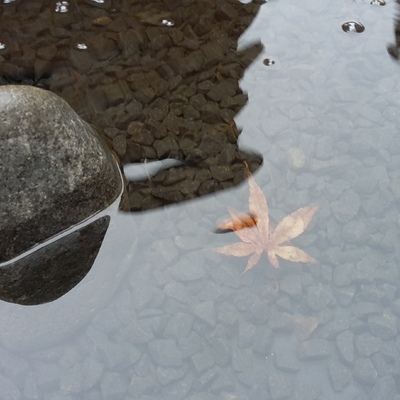 La transformación de un pequeño jardín