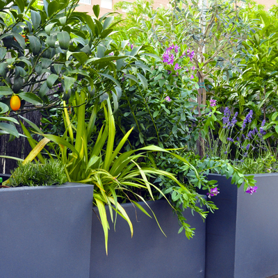 Terraza Sant Joan Despi.
