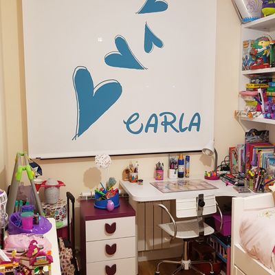 Estor Enrollable con Impresión Digital