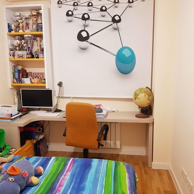 Estor Enrollable con Impresión Digital