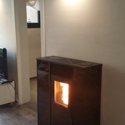 Estufas de Pellet - Biomasa para sector Residencial y Doméstico en Zaragoza