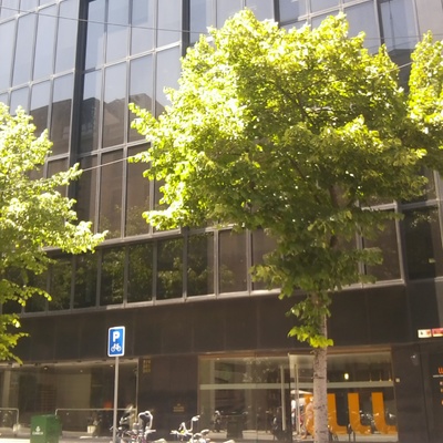 Certificación Eficiencia Energética (CEE) de Despacho