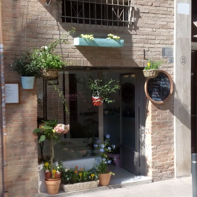 Licencia actividad floristería