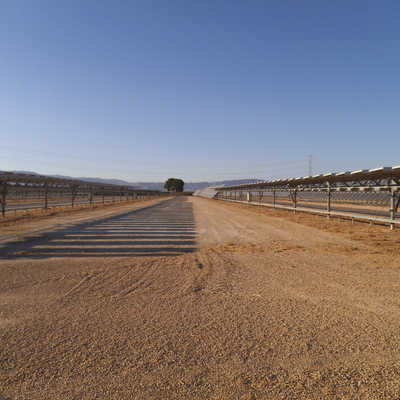 Fila entre placas ya desbrozada